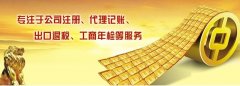 青岛肥注册分公司需要注册资金吗？